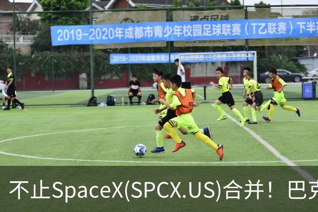 不止SpaceX(SPCX.US)合并！巴克莱：特斯拉(TSLA.US)还有多重上行逻辑，目标价看至450美元