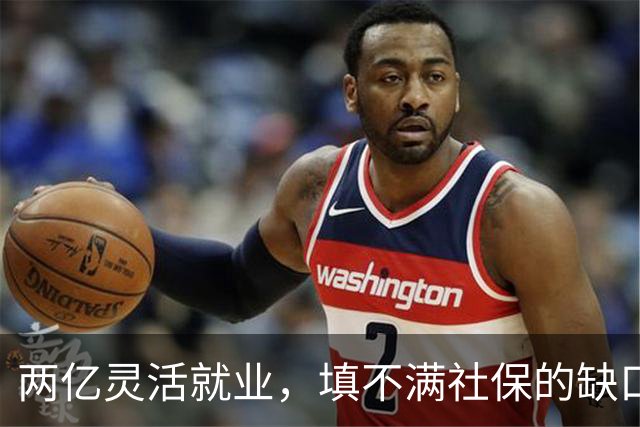 两亿灵活就业，填不满社保的缺口