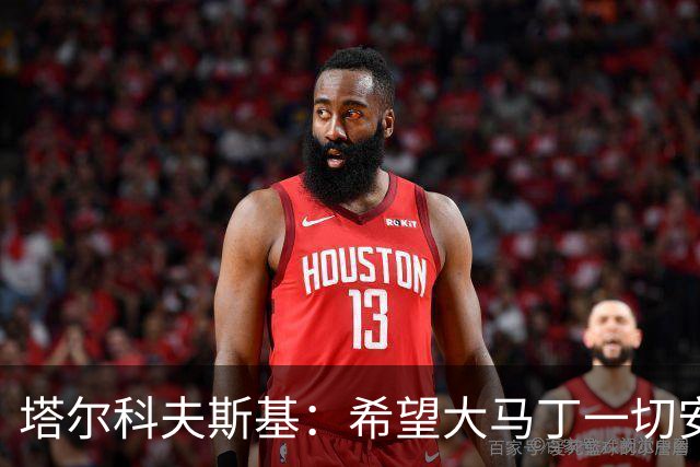 塔尔科夫斯基：希望大马丁一切安好，我当时并没有在要点球