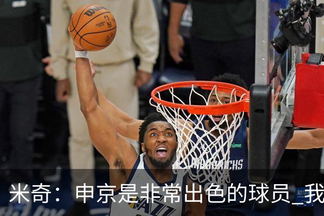 米奇：申京是非常出色的球员 我们本可以更早对他做防守布置