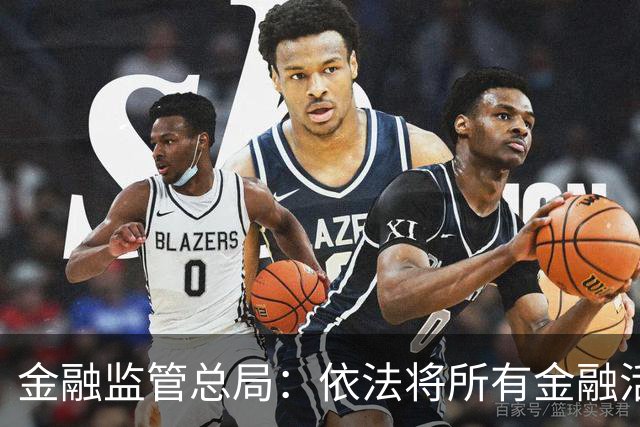金融监管总局：依法将所有金融活动全部纳入监管