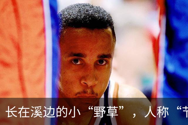 长在溪边的小“野草”，人称“节节草”，农民拔了扔，现20元一盆
