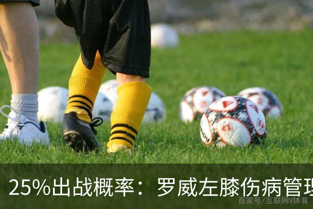 25%出战概率：罗威左膝伤病管理，开拓者主场对灰熊恐缺他