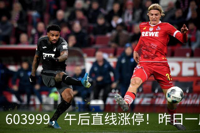 603999，午后直线涨停！昨日一度跌停
